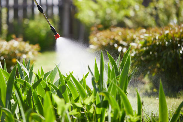 Tamper-Resistant Bait Stations for Rodents in St. Cloud