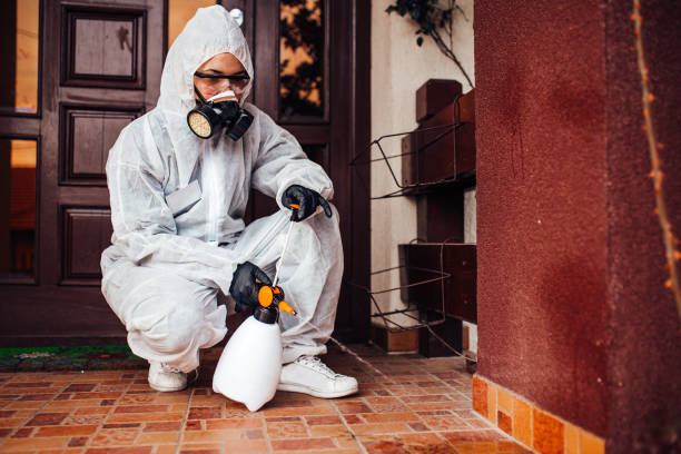 Attic and Crawl Space Rodent Treatment in St. Cloud